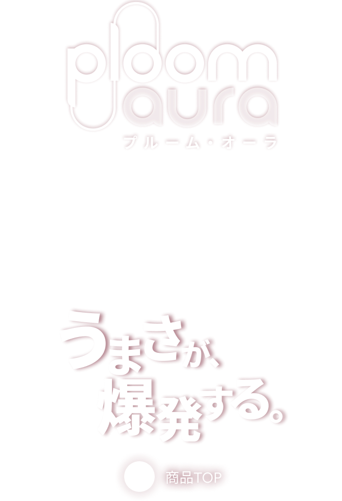 プルームキューブケース　イーグル　グラーデション染めワインレッド プルームキューブケース イーグル グラーデション染めワイン