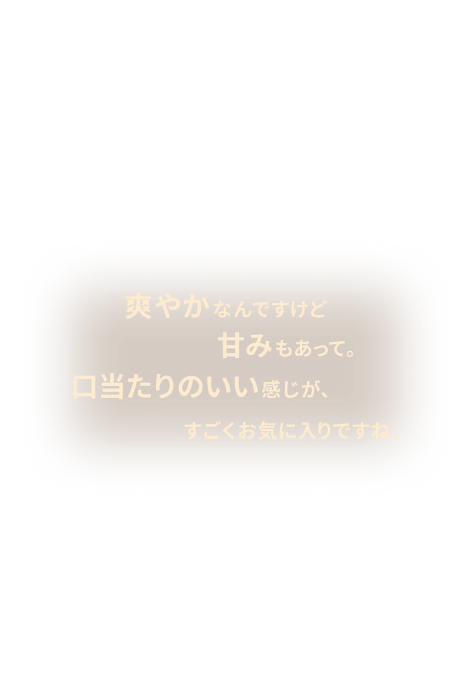 higher_rank_PC_No.1KV-B-tokutei_withOutCT
