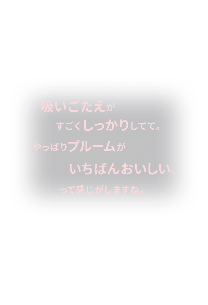 higher_rank_SP_No.1KV-E-tokutei_withOutCT