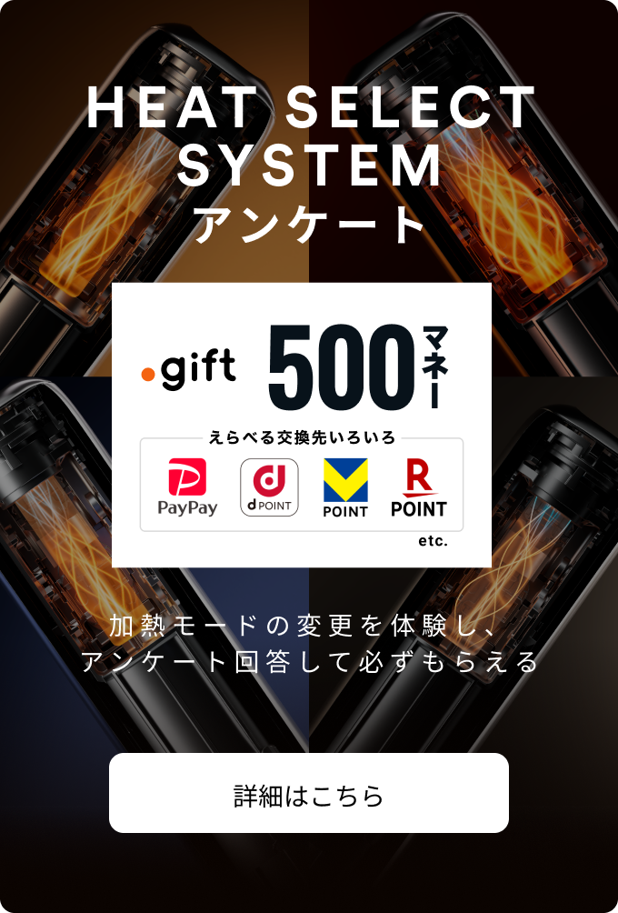 シャルムボープルーム６点セット未使用 シャルムボープルーム6点セット未使用 シャルムボープルーム6点セット